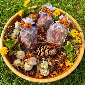 Wellness Blend Sachet Set 3 Potpourri Thyme Clove Star Anise Cinnamon Kumquat